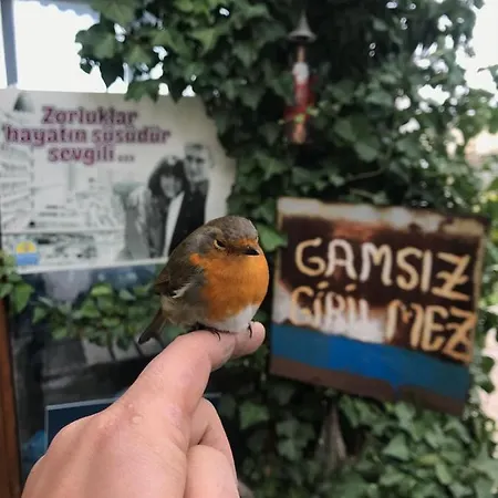 فندق Intepe Poseidon تْشاناكالي